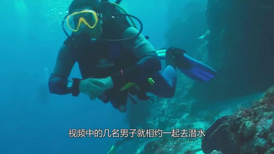 虎胆熊威3